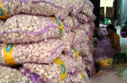 Kementan Keluarkan Rekomendasi Impor Bawang Putih  1,1 Juta ton