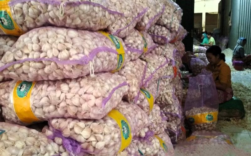 Kementan Keluarkan Rekomendasi Impor Bawang Putih  1,1 Juta ton