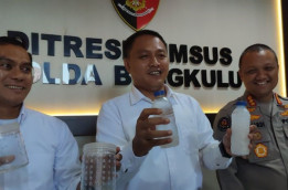 Polda Bengkulu Selamatkan Benih Lobster Senilai Rp3,66 Miliar