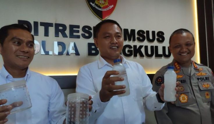 Polda Bengkulu Selamatkan Benih Lobster Senilai Rp3,66 Miliar