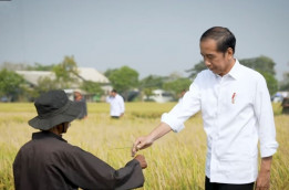 Presiden Jokowi Perbanyak Pasokan Beras ke Pasar