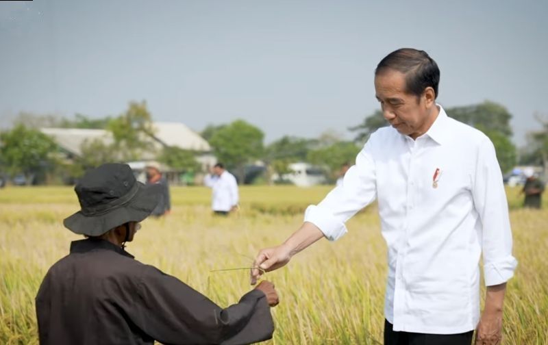 Presiden Jokowi Perbanyak Pasokan Beras ke Pasar