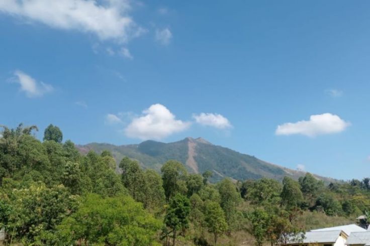 Waspadai Peningkatan Aktivitas Gunung Inielika