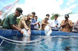 Budidaya Ikan Nila Jadi Inovasi Tangguh Tingkatkan Ekonomi Lumajang