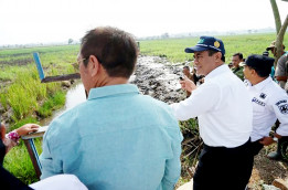 Mentan Andi Amran Garap 200 Ribu Ha Lahan Rawa Kalsel