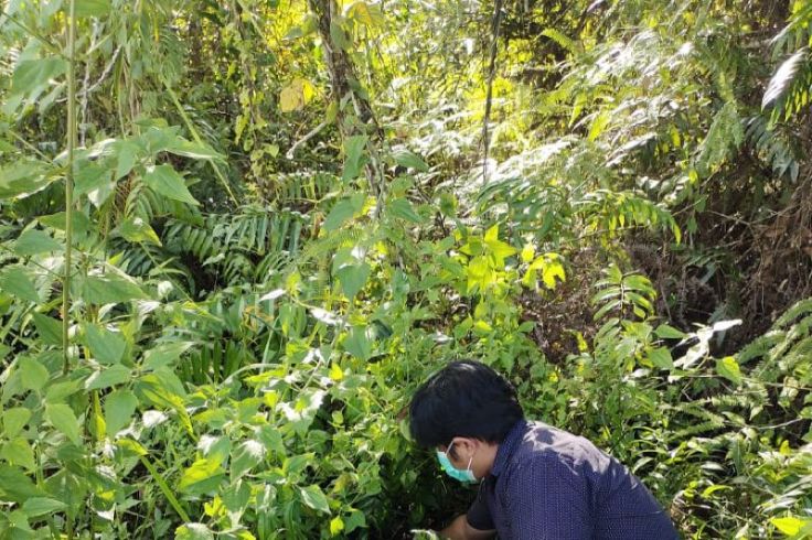 Pembuang Bayi di Melawi DIusut Polisi