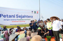 Anies Ingin Terapkan "contract Farming" Jamin Hasil Panen Petani