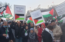 Intip WNI Ikut Aksi Damai Bela Palestina di AS