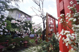 Cantiknya Kampung Sakura, Destinasi Baru di Kota Batu Jatim