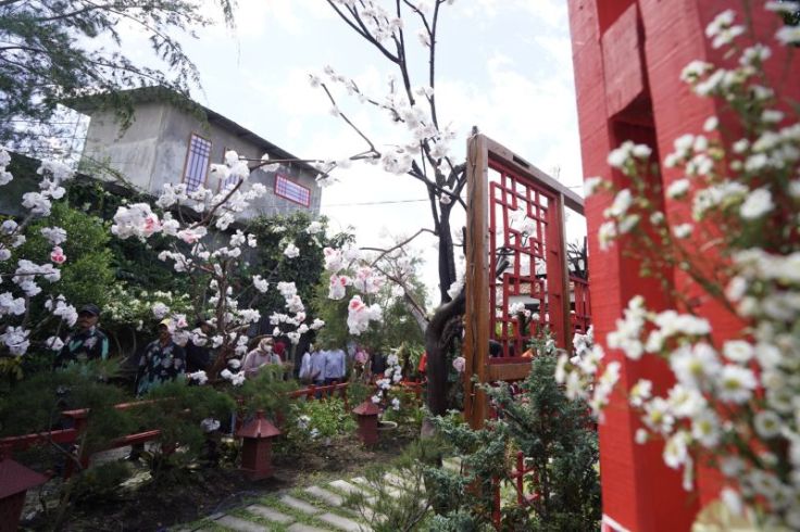 Cantiknya Kampung Sakura, Destinasi Baru di Kota Batu Jatim