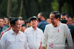 "Cawe-Cawe" Jokowi Tingkatkan Elektabilitas Prabowo-Gibran