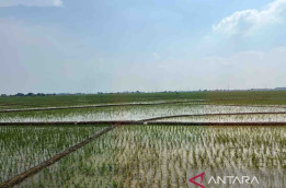 Kasad Kerahkan Pasukan untuk Alirkan Air Sungai ke Sawah