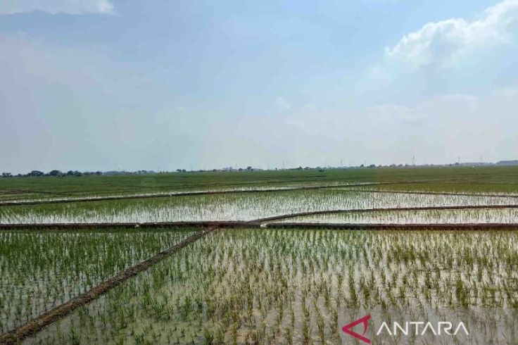 Kasad Kerahkan Pasukan untuk Alirkan Air Sungai ke Sawah