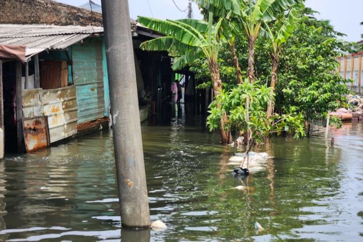 Biang Banjir, Pimpinan Dewan Desak Pemprov DKI Perbaiki Turap Sodetan Kali Semongol