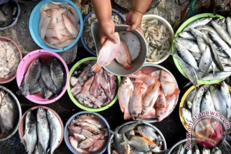 Kabar Gembira yang Doyan Konsumsi Ikan Sarden dan Teri