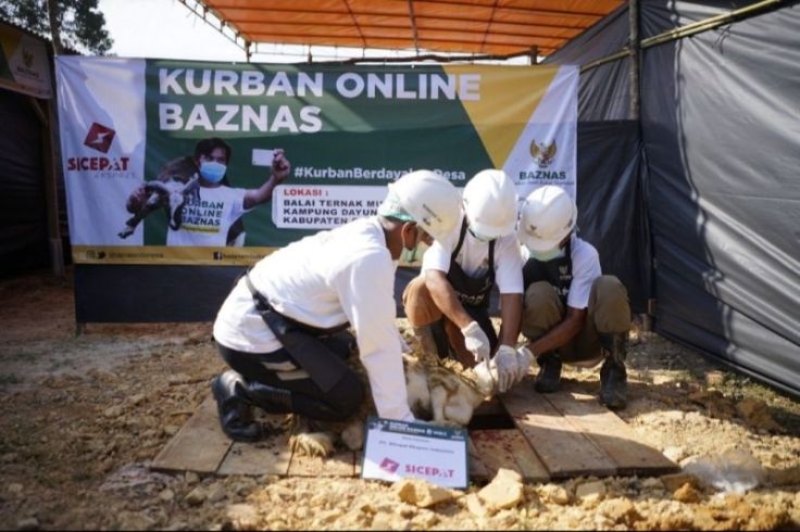 Berikut Ini Pilihan Muslim RI untuk Kurban via Online