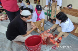 Segera Kuliti Kambing Kurban akan Kurangi Bau Perengus