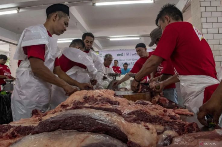 Teknik Simpan Daging Kurban di Kulkas Agar Tidak Alot