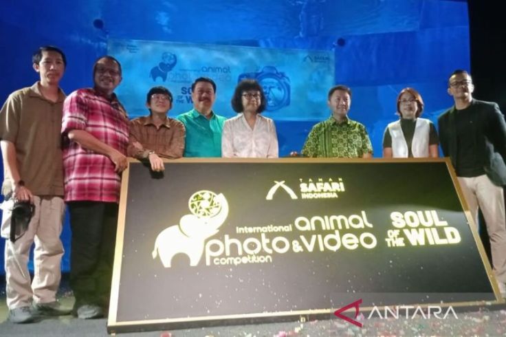 Yuk Ikutan Lomba Foto Binatang, Anak 7 Tahun Bisa Daftar