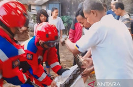 Ular Sanca 4 Meter Gemparkan Warga Sekitar TMII