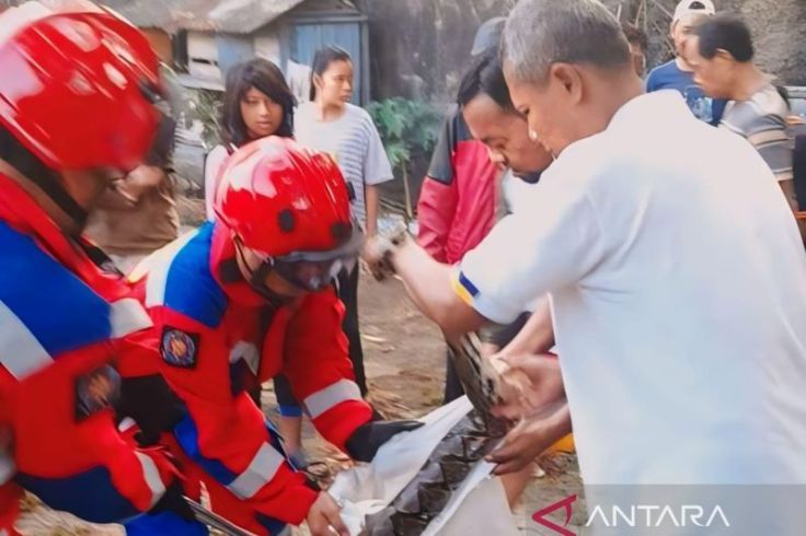 Ular Sanca 4 Meter Gemparkan Warga Sekitar TMII