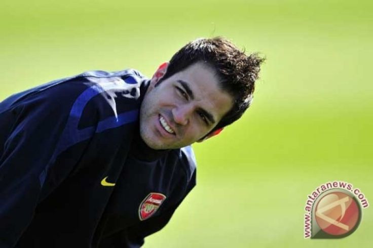 Cesc Fabregas Resmi Jadi Pelatih Kepala Como 1907