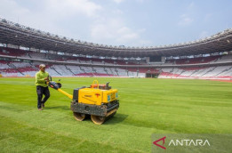 Laga Indonesia Vs Australia, GBK Siapkan Rumput Terbaik