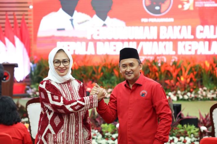 Hasto Sebut Pasangan Airin-Ade Menggelora di Banten