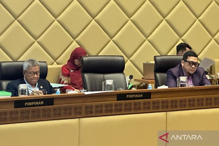 Jika Kotak Kosong Menang, Komisi II DPR Sepakat Pilkada Ulang