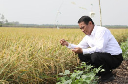 Kementan Mulai Cetak Sawah 3 Juta Hektare