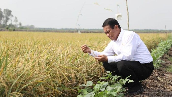 Kementan Mulai Cetak Sawah 3 Juta Hektare