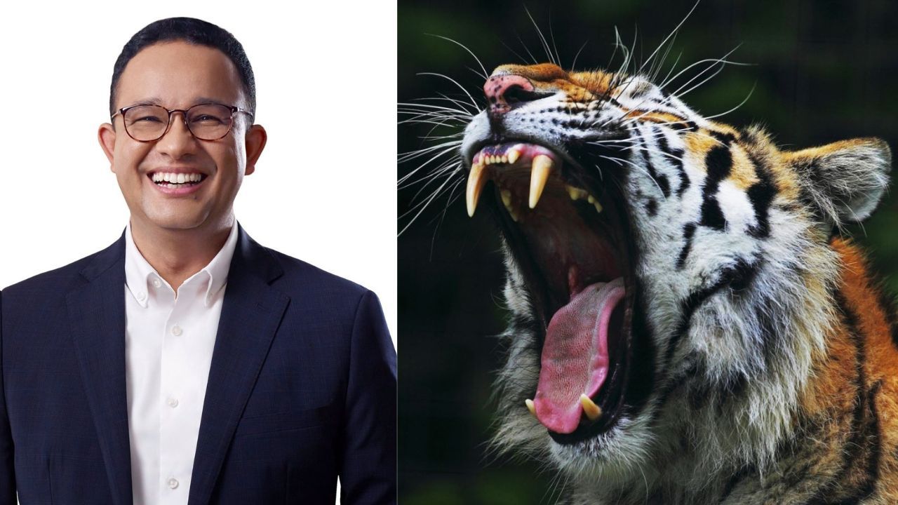 Anies "Tak Terima" Dituding Bangunkan Macan Tidur: Memang Pawang?