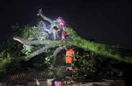 Kota Bogor Langganan Diterjang Angin Kencang