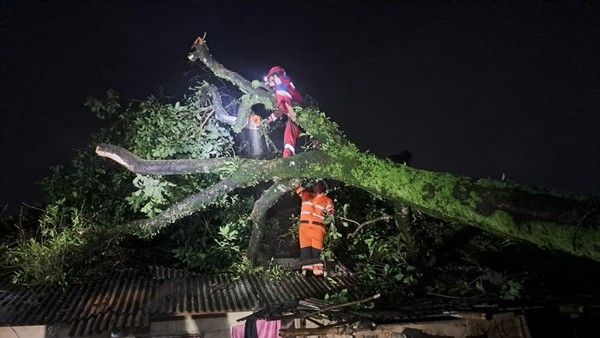 Kota Bogor Langganan Diterjang Angin Kencang