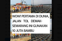 Pecahkan Rekor Dunia! 10 Juta Batang Bambu Jadi Fondasi Jalan Tol Semarang-Demak