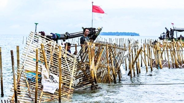 Pembongkaran Pagar Laut Tangerang Sepanjang 15 Km, Target Rampung Akhir Januari 2025