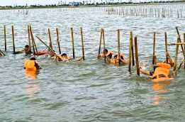 TNI AL dan Warga Bongkar Pagar Laut di Tanjung Pasir Tangerang