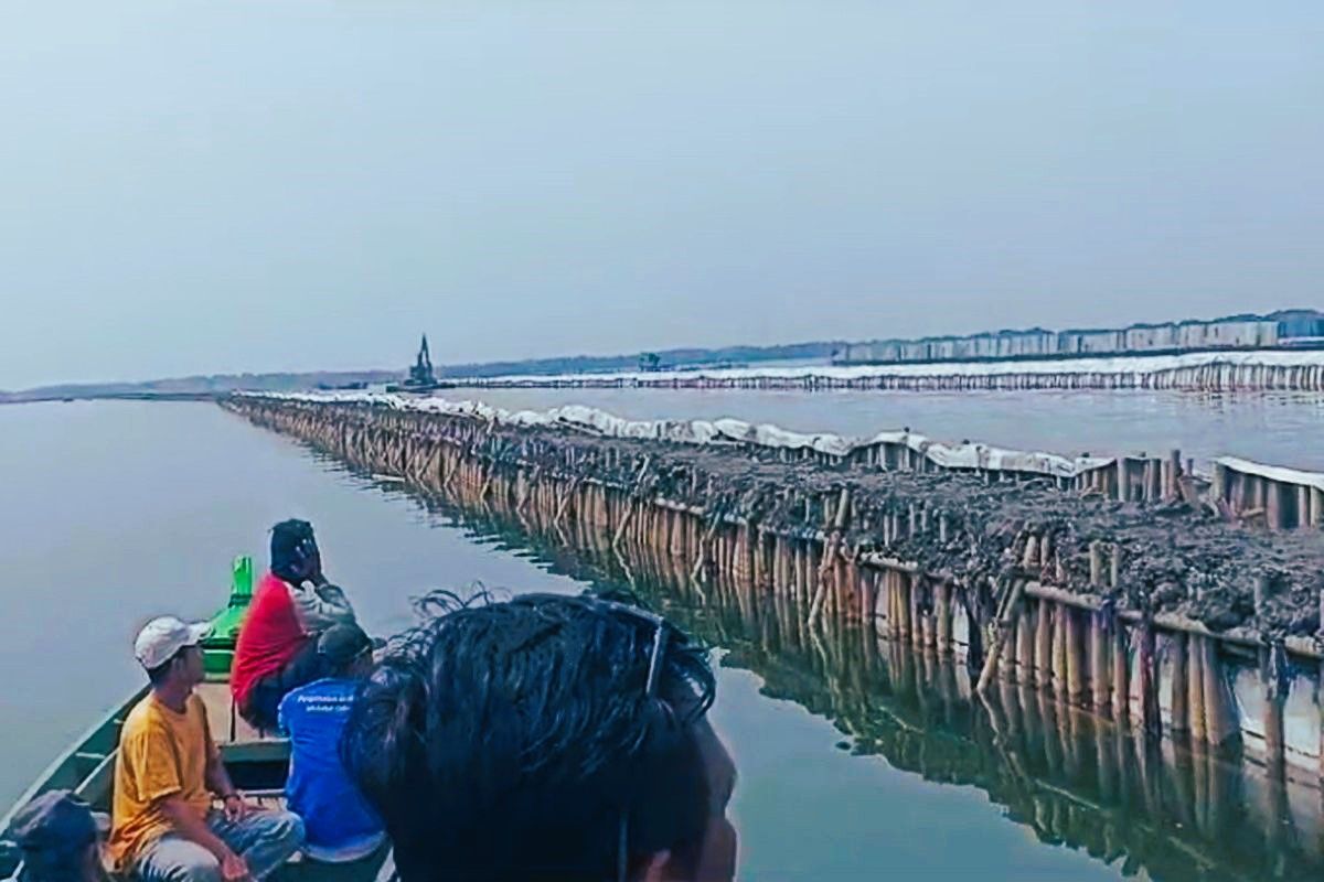 VIRAL LAGI! Pagar Laut Bambu Misterius di BEKASI