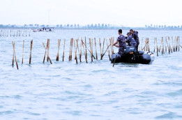 Dugaan Korupsi Pagar Laut Tangerang: Kasus yang Menarik Perhatian Publik