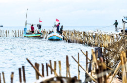 Kasus Pagar Laut Tangerang: Publik Soroti Keadilan Hukum