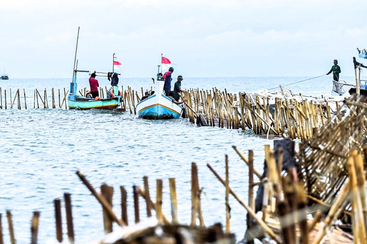 Kasus Pagar Laut Tangerang: Publik Soroti Keadilan Hukum