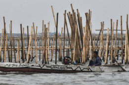 Pagar Laut: Skandal yang Tak Kunjung Diusut, Siapa yang Dilindungi?