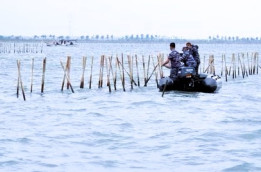 Rame-Rame Lapor Ke Kepolisian, Kejaksaan, dan KPK Terkait Pagar Laut Tangerang