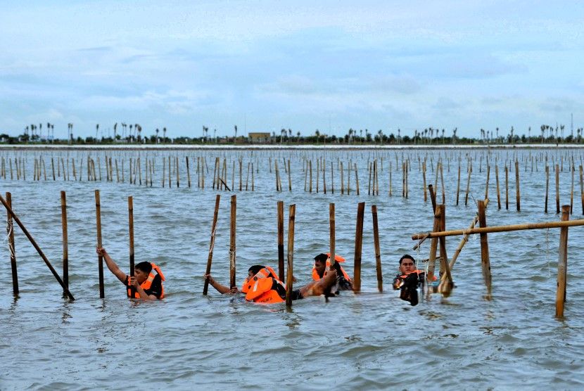 Skandal Pagar Laut di Tangerang: Bareskrim Polri Periksa Tujuh Pejabat Terkait Dugaan Pemalsuan dan TPPU