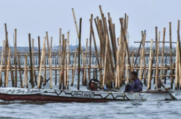 Menguak Skandal Pagar Laut: Siapa Dalang di Balik 30 KM Perairan yang Dicaplok?