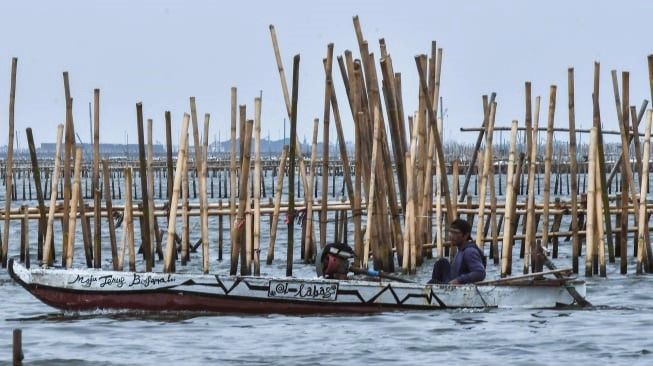 Menguak Skandal Pagar Laut: Siapa Dalang di Balik 30 KM Perairan yang Dicaplok?