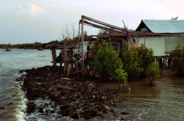 Hutan Lindung Dijual Demi Tambak Korporasi!