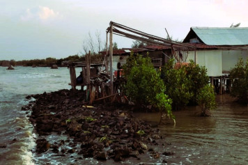 https://satuindonesia.co/hutan-lindung-dijual-demi-tambak-korporasi